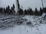 Nach Orkan Friederike - Naehe Turm Hochsolling  (5)